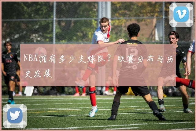 NBA拥有多少支球队？联赛分布与历史发展