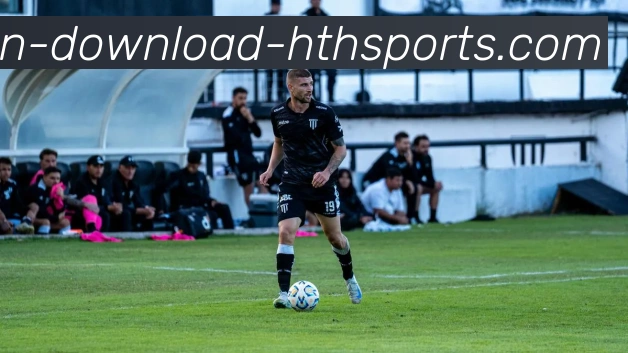 华体会hth平台生态图